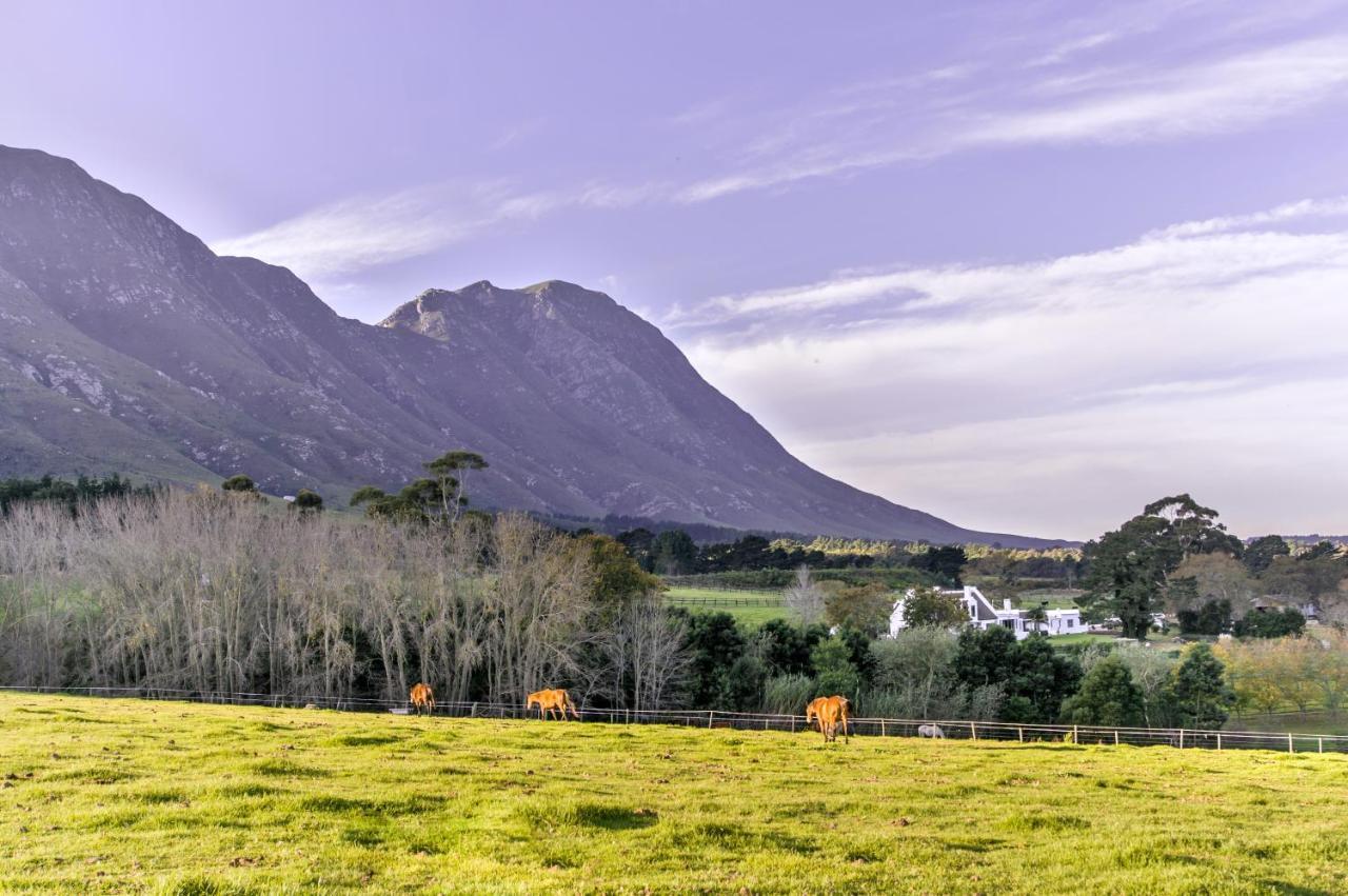 Отель Hemel 'N Aarde Stud Херманус Экстерьер фото